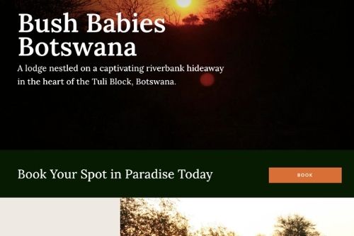 Bush Babies Botswana