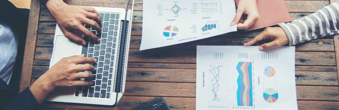 paarl web design